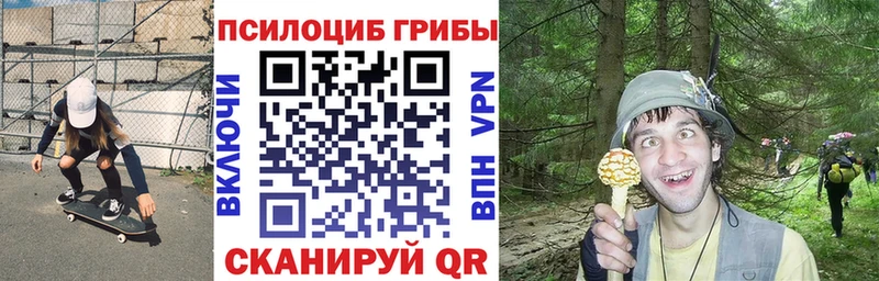 Галлюциногенные грибы мицелий  Усть-Катав 